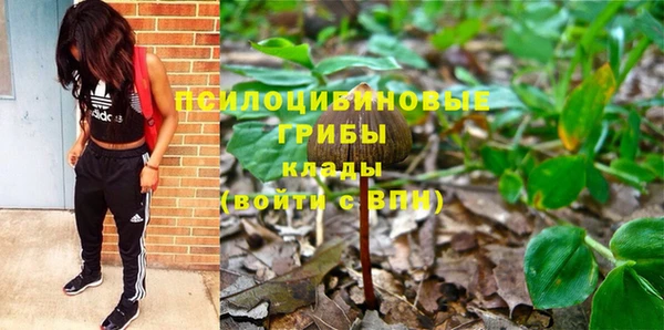 эйфоретик Волоколамск