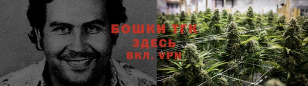 эйфоретик Волоколамск